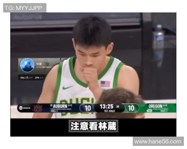 林葳的成长之路：从平凡到卓越的奋斗历程与心路历程分享