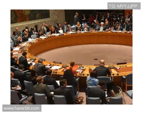 赖斯在国际舞台上的影响力与外交策略分析