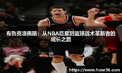 必一运动手机网页版登录